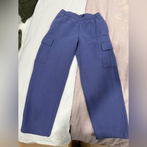 Aritzia Blue Jogger Pants Sweatfleece